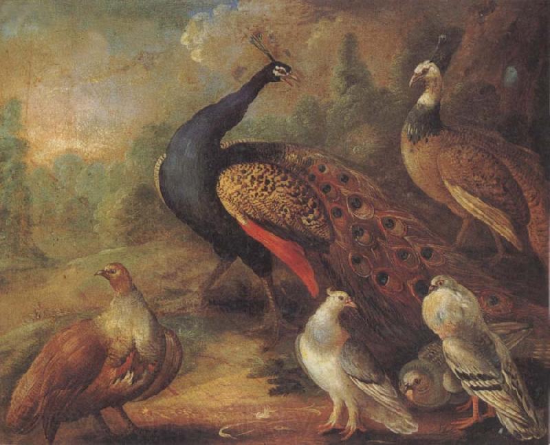 Marmaduke Cradock Peacock and Partridge Norge oil painting art